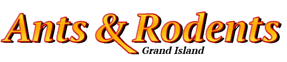 Grand Island Ant Exterminator & Rodent Control Company Logo